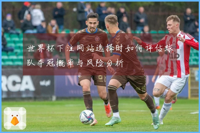 世界杯下注网站选择时如何评估球队夺冠概率与风险分析