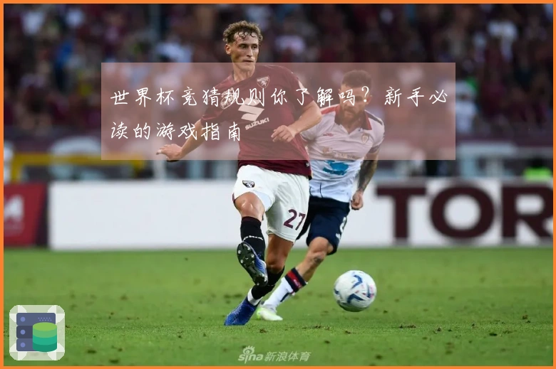 世界杯竞猜规则你了解吗？新手必读的游戏指南
